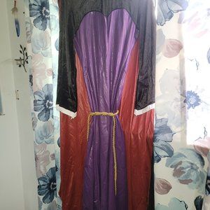 Disney Evil Queen costume